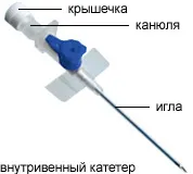 Hogyan csöpög kutya otthon