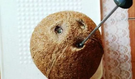 Hogyan tisztítható a kókusz és hogyan oszlik nyit egy kókuszdió otthon, ls