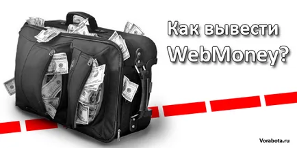 Като парични WebMoney
