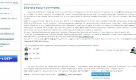 Като парични WebMoney