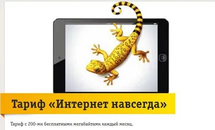 Как да изберем Интернет тарифа