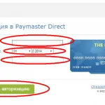 Като парични WebMoney