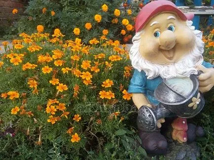 Дизайн на клумби и цветарници