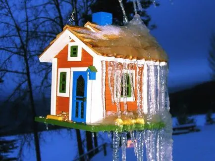Какво е хранилка за птици