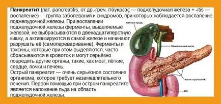 лечение на панкреатит у дома