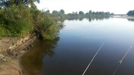 платика за улов платика за улов