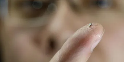 Microchip какво е