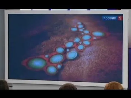 Гъбичките от това, което се случва, Гъбичките от това, което се случва,