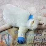 Cat меки играчки със собствените си ръце Cat меки играчки със собствените си ръце