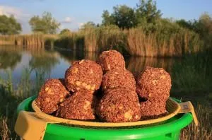 Кога и какво да хвана шаран