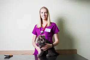 коса Cat коса Cat