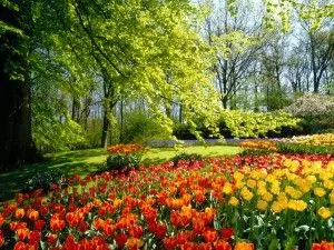 Дизайн на клумби и цветарници