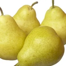 Milyen ételek növelik a hemoglobin és hogyan kell használni őket rendesen