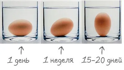 Hogyan és mit lehet mérgezett otthon