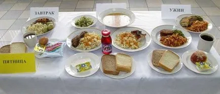 Hogyan és mit kell etetni a Magyar Honvédség katonai felülvizsgálata