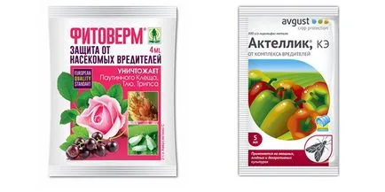 Как да се отървем от кърлеж по растенията