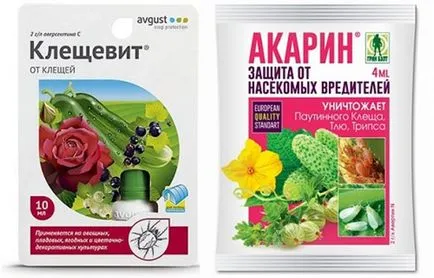 Как да се отървем от кърлеж по растенията