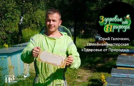 Какво е пчелно млечице