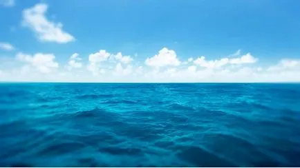 Какво се случва с хората в ковчег