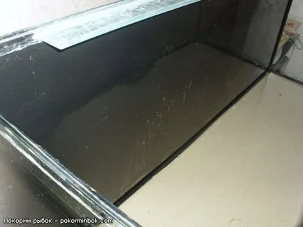 Предшестващо състояние на аквариум като паста