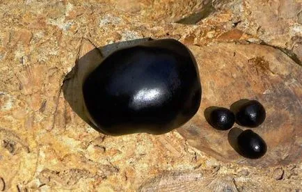 Какви са предимствата на мумиите Какви са предимствата на мумиите