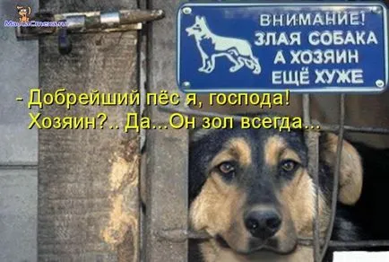 Снимки за кучета