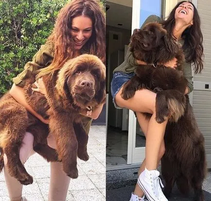 Снимки за кучета