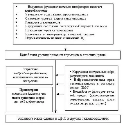 Заради това, което PMS