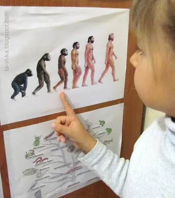 Като човек роден