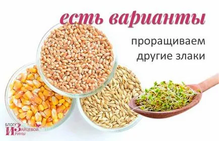 Какво да правим с пшеницата