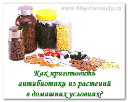 Какво може да замени антибиотиците