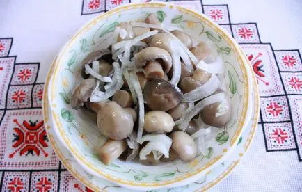 Как да се маринова гъби