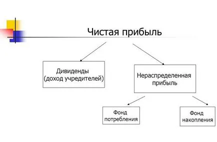 Разпределение на печалбата, че е