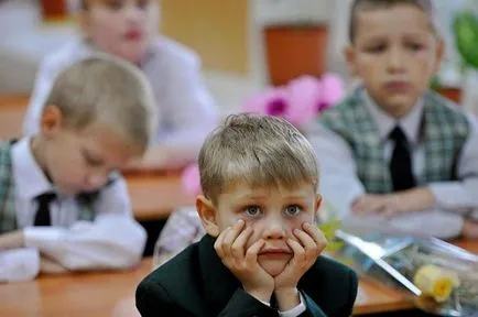 Това, което се учи в университета в