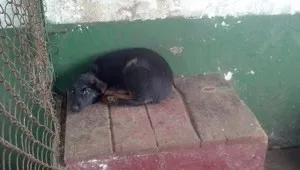 Кораб повече от Титаник