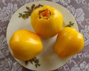 Степен жълт домат