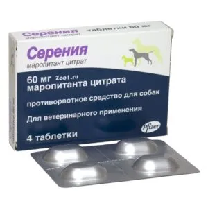 Ако кучето повръща жлъчен