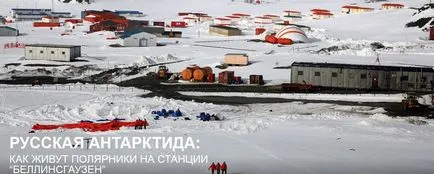 Как да живеем по Антарктида