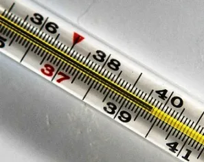 Затворената форма на туберкулоза, че е