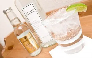Gin напитка от пиене