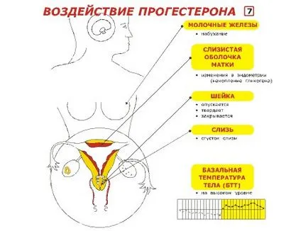 Какво хормон не е достатъчно