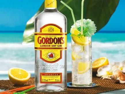 Gin напитка от пиене Gin напитка от пиене