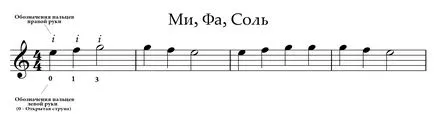 Hogyan kell játszani a jegyzeteket a gitár