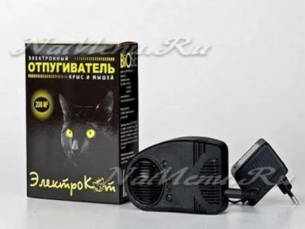 Hogyan lehet megszabadulni az egerek egy magánlakás az összes népi jogorvoslati
