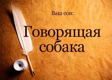Кучето, което говори