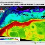 Как да определим какво от