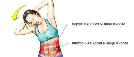 Как да се изгради страната на корема Как да се изгради страната на корема