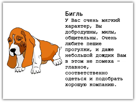 Тест за породата на кучето
