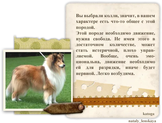 Тест за породата на кучето