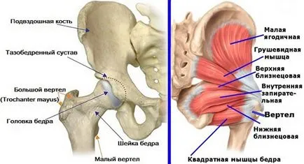 Лечение на народни средства trohanterita